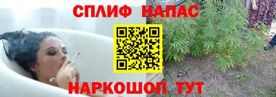 сатива Бузулук