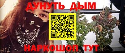 сатива Бузулук