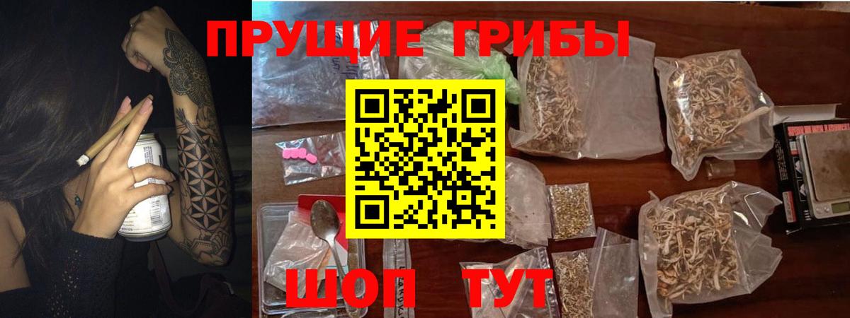 Псилоцибиновые грибы Psilocybine cubensis  Вход с VPN  где найти   Архангельск 