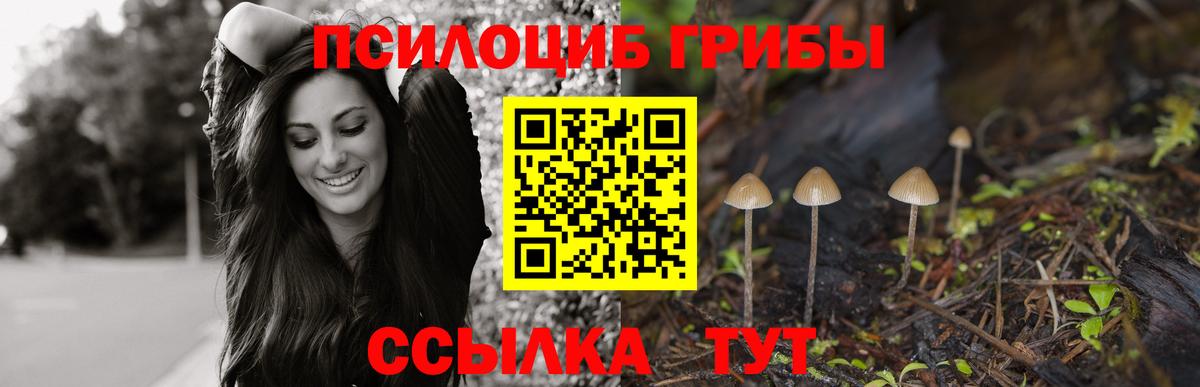 Псилоцибиновые грибы MAGIC MUSHROOMS Архангельск
